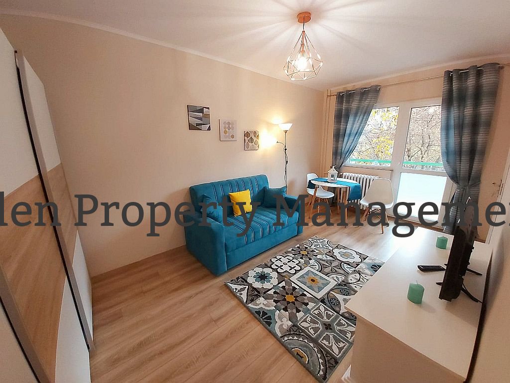 Garsoniera str Cojocnei