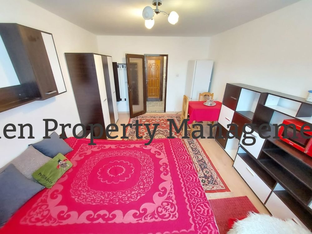 Garsoniera str Dejului