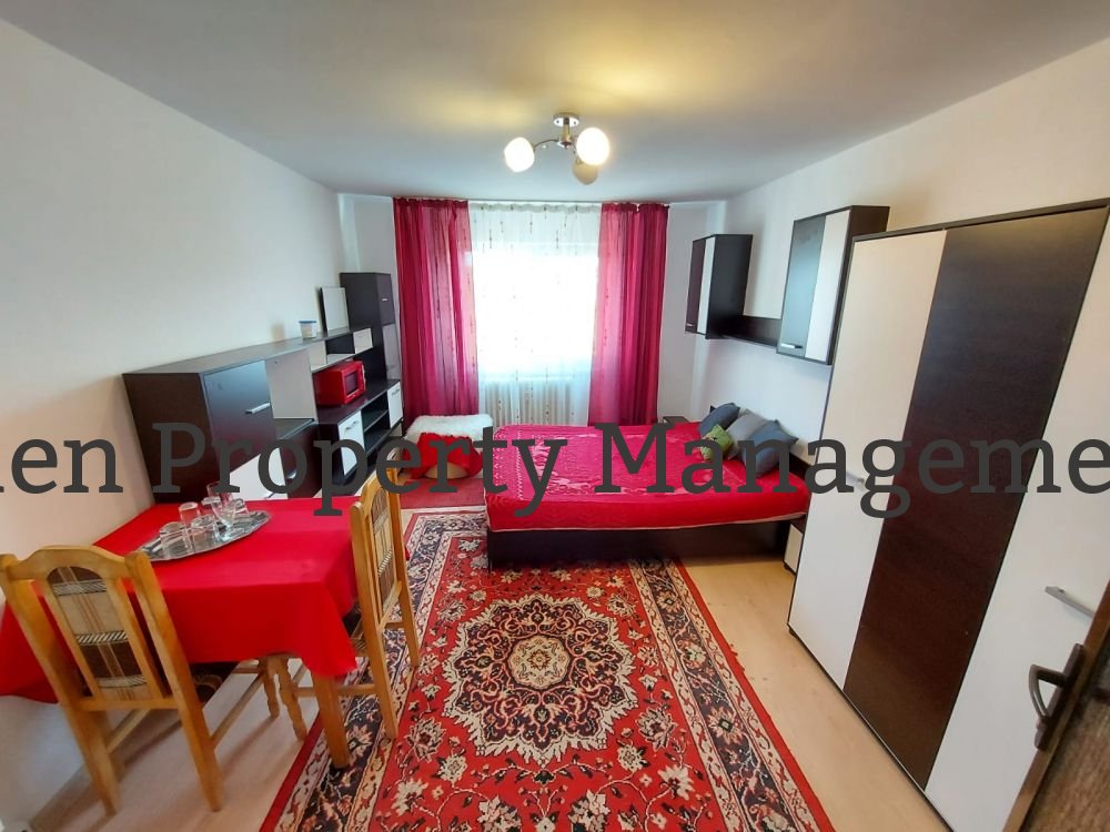 Garsoniera str Dejului